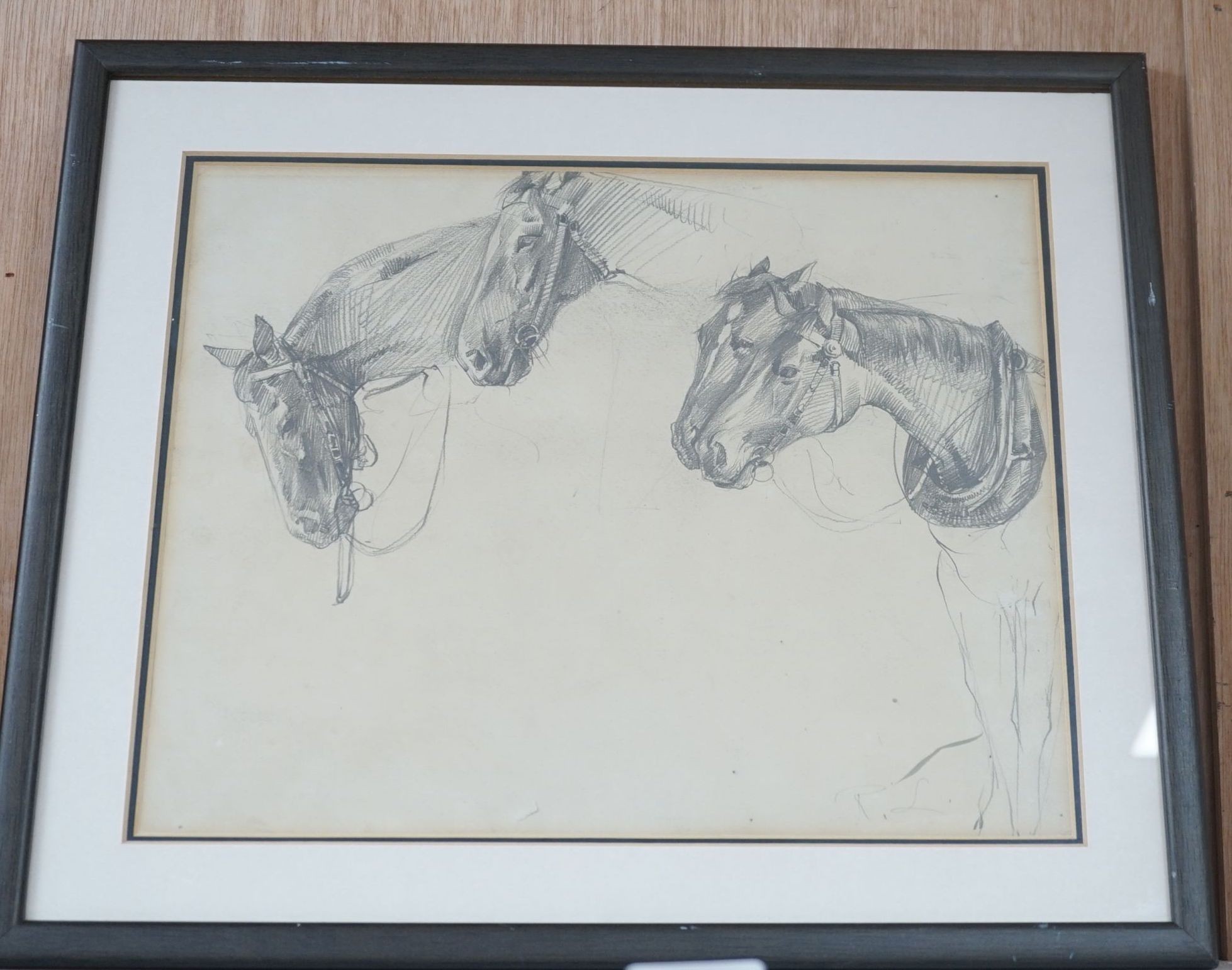 Robert Lillie (1867-1949), pencil drawing, Sketch of horses, 23 x 30cm